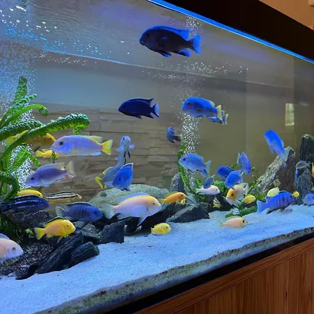 Bed & Breakfast Ariadna 3*