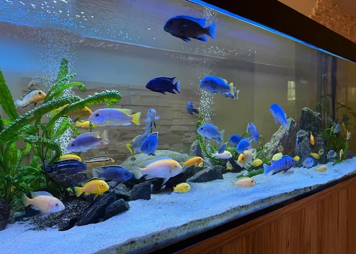 לינה וארוחת בוקר Ariadna 3*